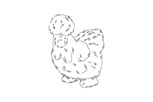 Silkie Chicken Line Art Tumbler Wrap 11Oz
