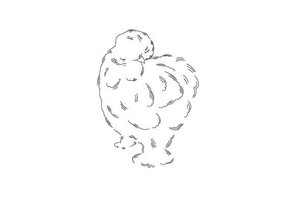 Silkie Chicken Line Art Tumbler Wrap 24Oz
