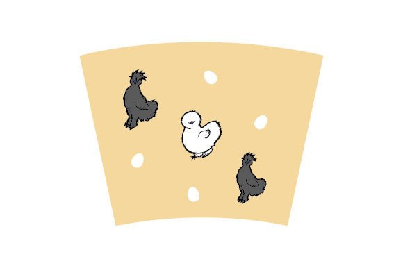 Silkie Chickens B W Tumbler Wrap 24Oz